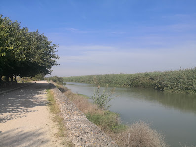 Zona de Ocio del Río Júcar Ronda Joan Fuster, 64, 46688 Polinyà de Xúquer, Valencia, España