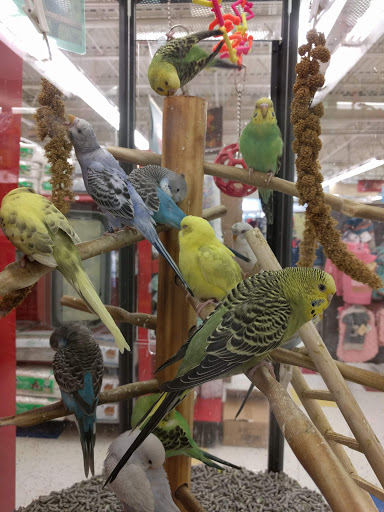Pet Supply Store «Petco Animal Supplies», reviews and photos, 85 State St, Orem, UT 84058, USA