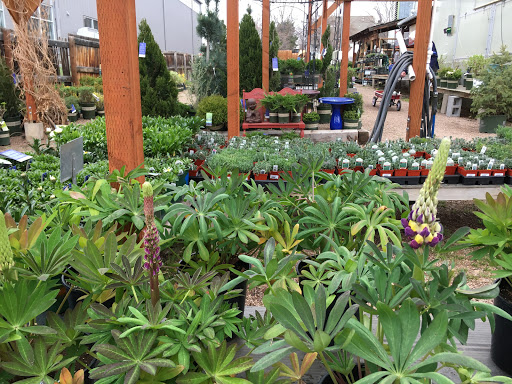 Plant Nursery «Sturtz & Copeland Florist & Greenhouses», reviews and photos, 2851 Valmont Rd, Boulder, CO 80301, USA