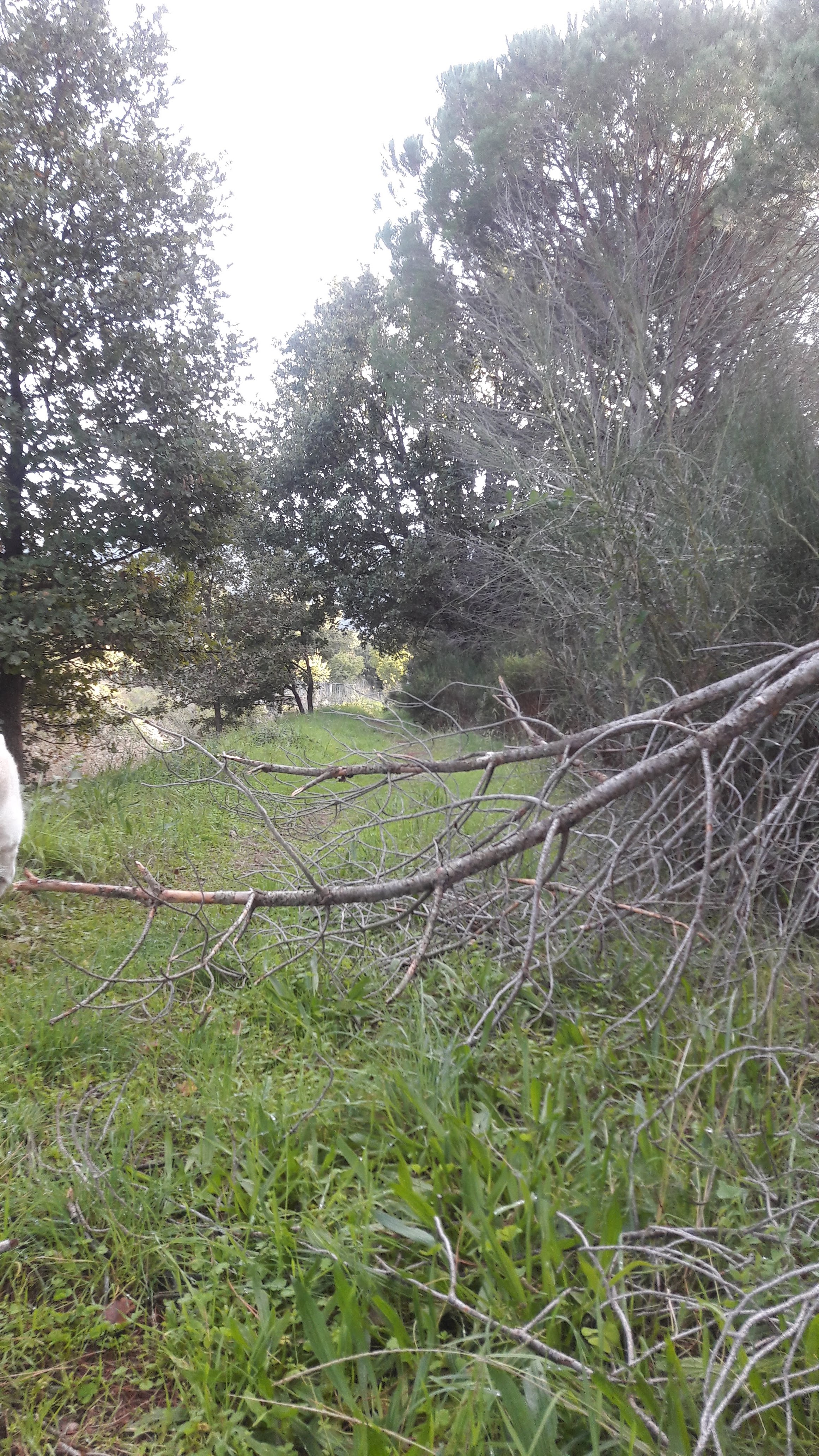 Photo n° 9 de l'avis de paloma.e fait le 24/11/2019 à 20:15