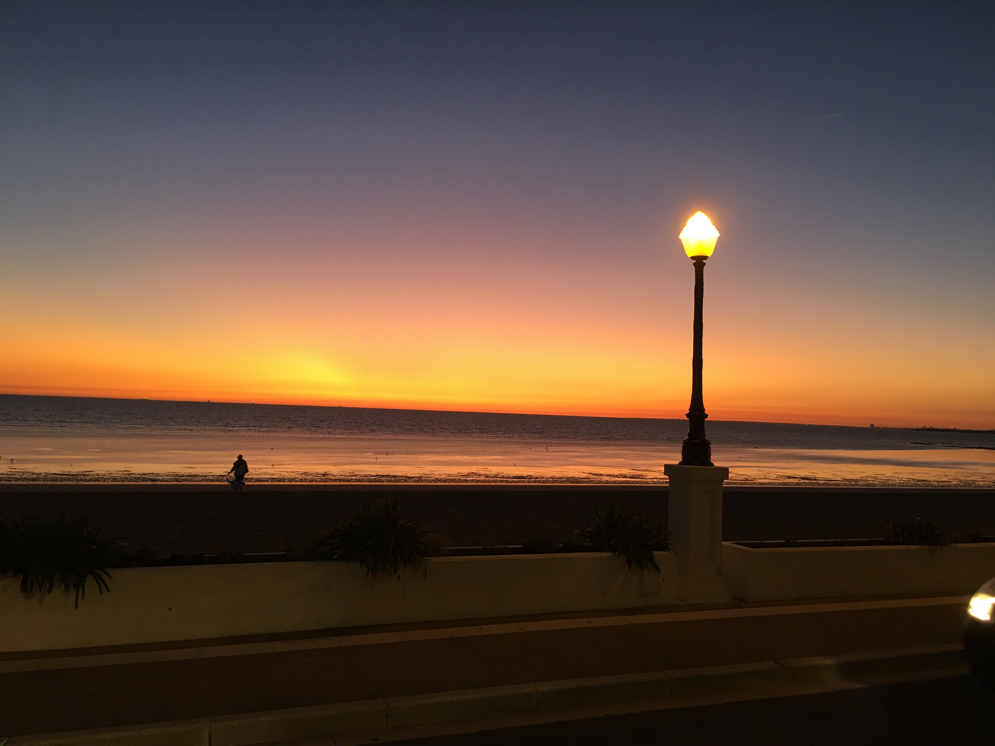 Photo n° 2 de l'avis de Nath.e fait le 23/09/2019 à 23:34