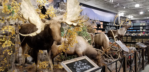 Outdoor Sports Store «Field & Stream», reviews and photos, 870 Walt Whitman Rd Ste B, Melville, NY 11747, USA