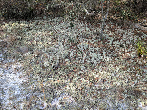 Recreation Center «Balm Park Recreation Center», reviews and photos, 14747 Balm Wimauma Rd, Wimauma, FL 33598, USA