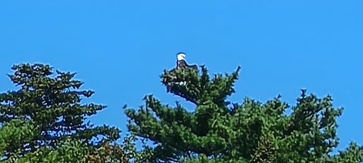 Whale Watching Tour Agency «Bar Harbor Whale Watch Co», reviews and photos, 1 West St, Bar Harbor, ME 04609, USA