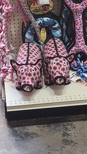 Pet Supply Store «Natural Pawz - Vintage Park», reviews and photos, 142 Vintage Park Blvd, Houston, TX 77070, USA