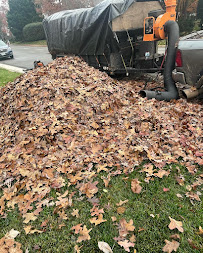 Mags Landscaping - Photo 3 - Car repair in , Richmond