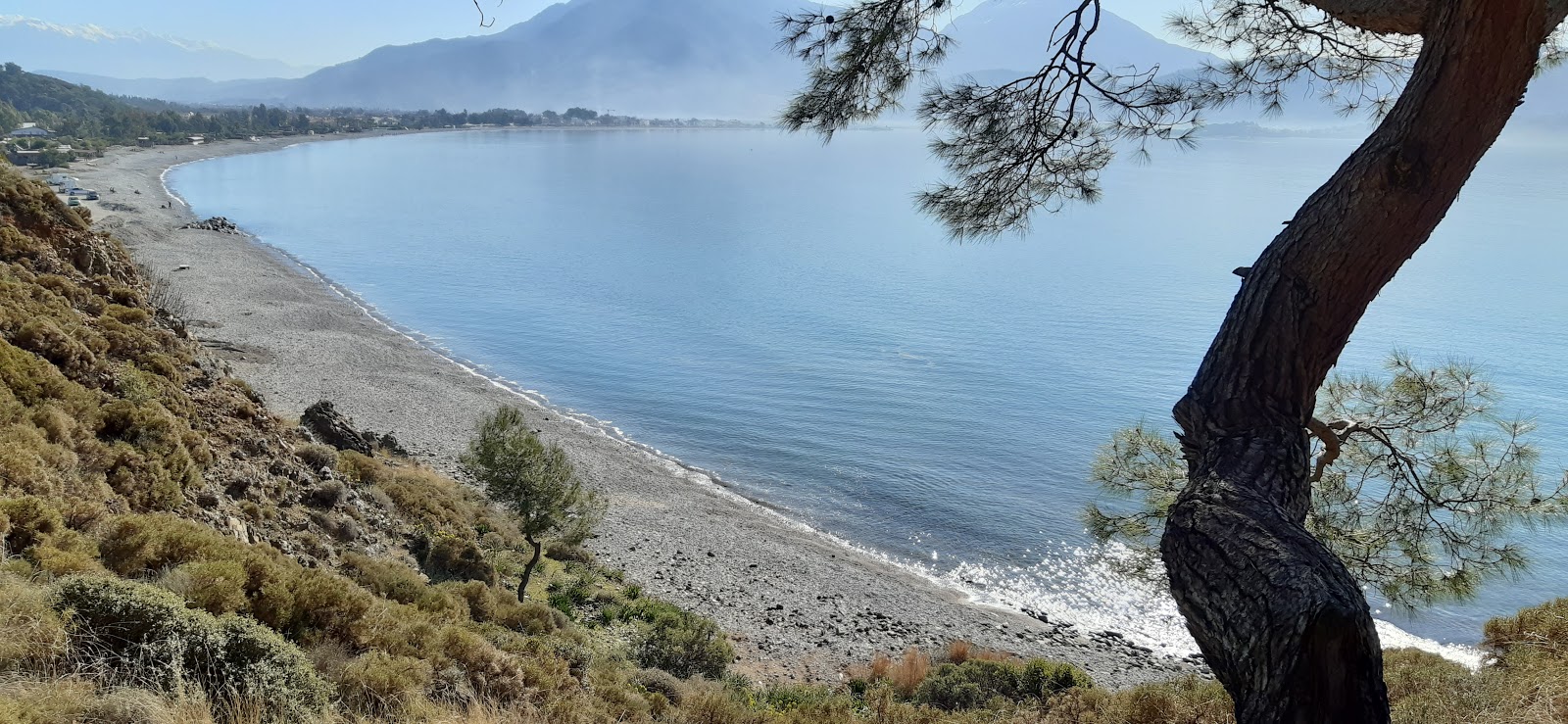 Kocaсalis Plajı'in fotoğrafı geniş plaj ile birlikte