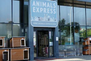 Animals-Express image