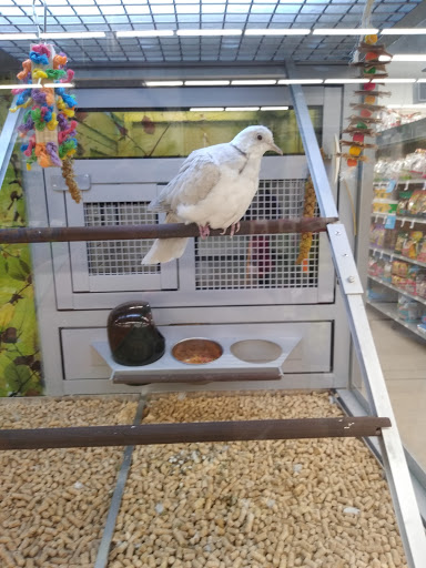 Pet Store «PetSmart», reviews and photos, 267 Berlin Turnpike, Berlin, CT 06037, USA