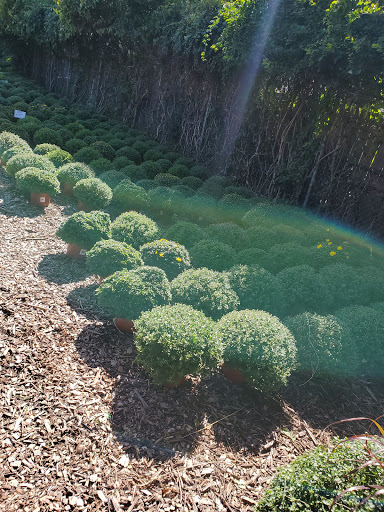 Florist «Blossom Time Florists», reviews and photos, 1868 Victory Blvd, Staten Island, NY 10314, USA