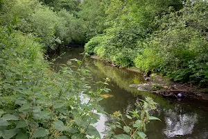 Roch Wood Nature Park image