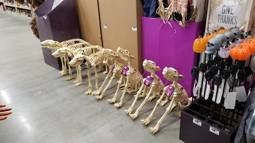 Home Improvement Store «The Home Depot», reviews and photos, 1670 W Orange Blossom Trail, Apopka, FL 32712, USA