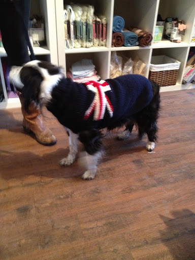 Pet Supply Store «Republic of Paws», reviews and photos, 2411 W Colorado Ave, Colorado Springs, CO 80904, USA