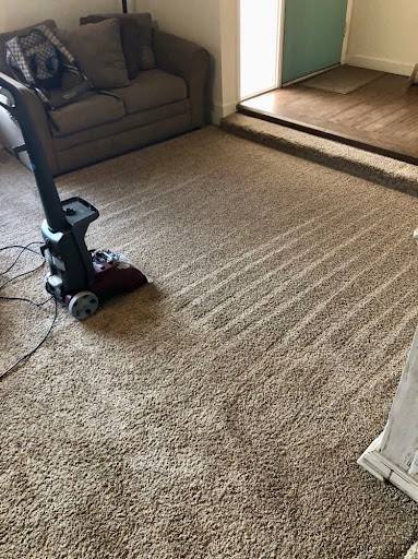 Edgar's Upholstery & Carpet Cleaning