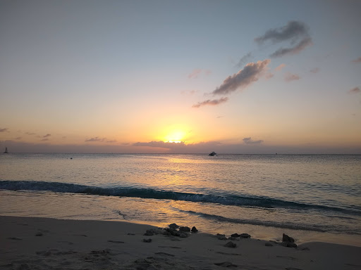 Grocery Store «Winn-Dixie», reviews and photos, 1835 FL-44, New Smyrna Beach, FL 32168, USA