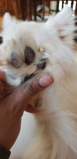 Pet Supply Store «PetSmart», reviews and photos, 57 NJ-23, Wayne, NJ 07470, USA