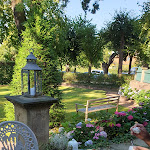 Photo n°2 de l'avis de Carola.a fait le 06/08/2020 à 17:03 sur le  Hotel Villa Sorgenfrei à Radebeul