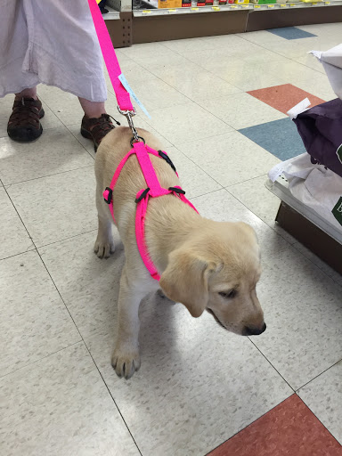 Pet Supply Store «Stoltzfus Feed & Supply», reviews and photos, 80 PA-41, Gap, PA 17527, USA