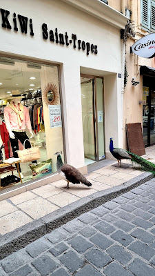 Kiwi Saint-Tropez homme à Saint-Tropez