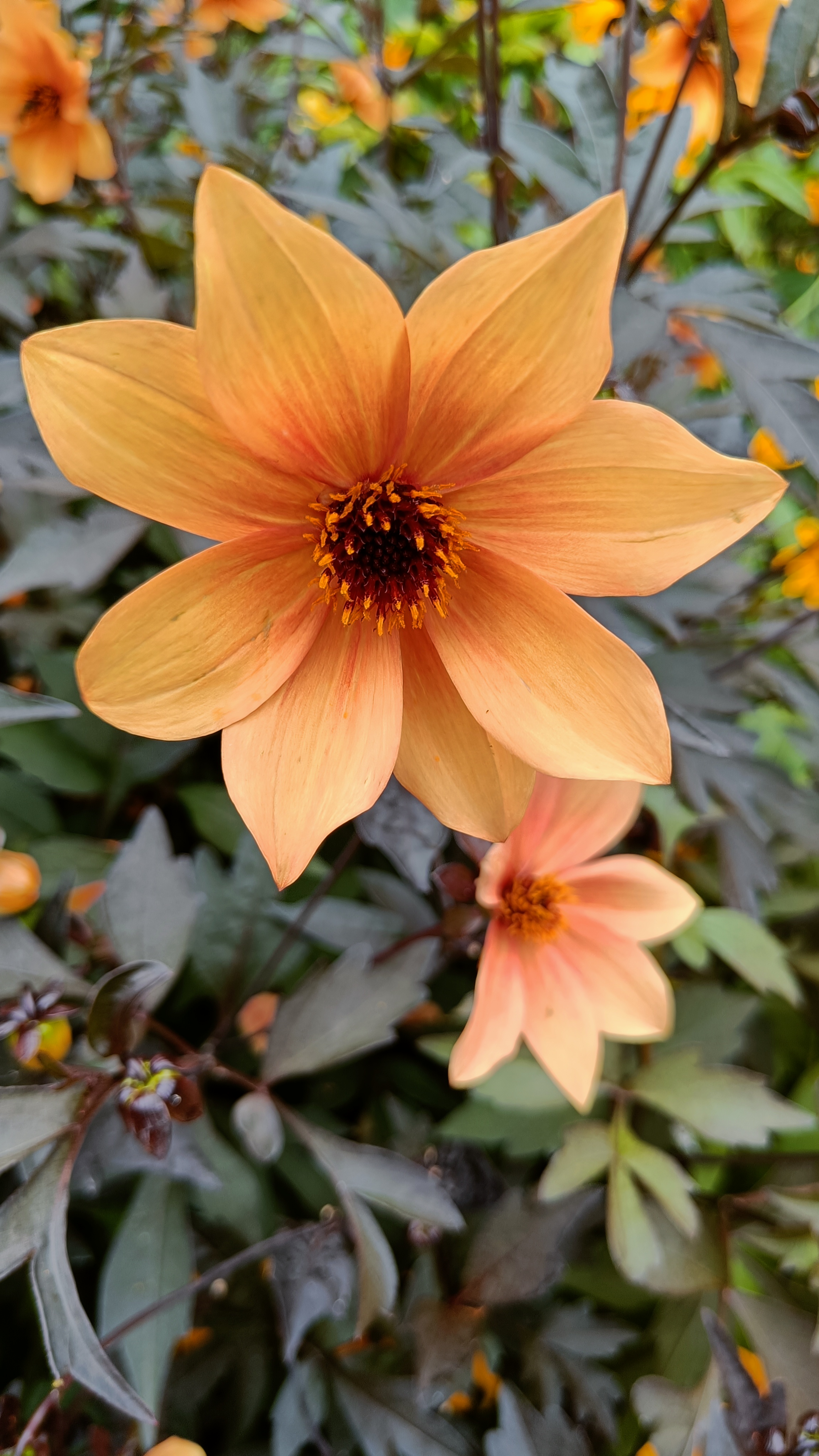 Photo n° 4 de l'avis de Eliot.o fait le 28/07/2023 à 16:35