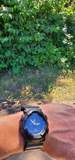 Park «Willamette Park», reviews and photos, SW Macadam Ave, Portland, OR 97219, USA