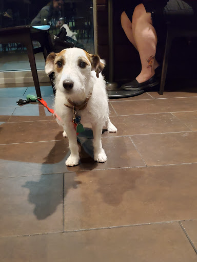 Pet Supply Store «EarthWise Pet Supply», reviews and photos, 4701 Bauer Farm Drive b, Lawrence, KS 66049, USA