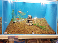 Petco - Photo 4 - Car repair in Marietta, GA, Atlanta