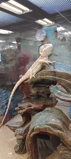 Pet Supply Store «Petco Animal Supplies», reviews and photos, 430 N Euclid St, Anaheim, CA 92801, USA