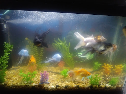 Pet Supply Store «Pet Supplies Plus», reviews and photos, 2600 McFarland Blvd E U, Tuscaloosa, AL 35405, USA