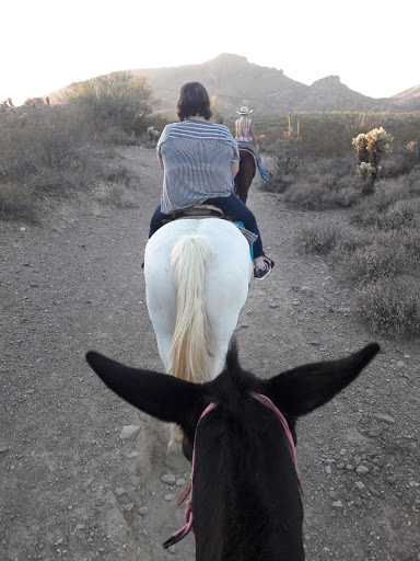 Horseback Riding Service «Spur Cross Stables», reviews and photos, 44029 N Spur Cross Rd, Cave Creek, AZ 85331, USA