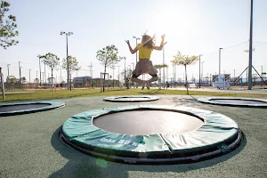 Beach Volleyball image