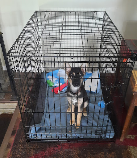 Cass County Animal Control