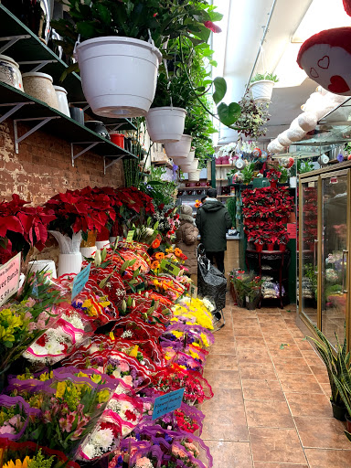 Danielas Flower Shop, Inc