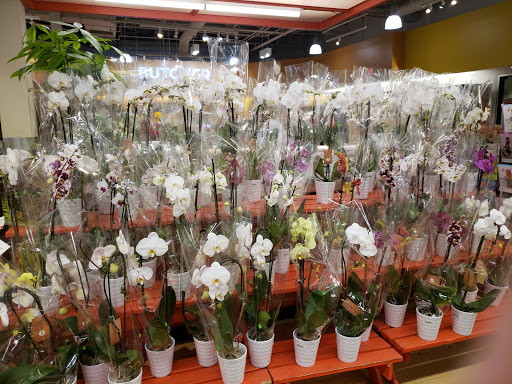 Grocery Store «Whole Foods Market», reviews and photos, 170 Great Rd, Bedford, MA 01730, USA