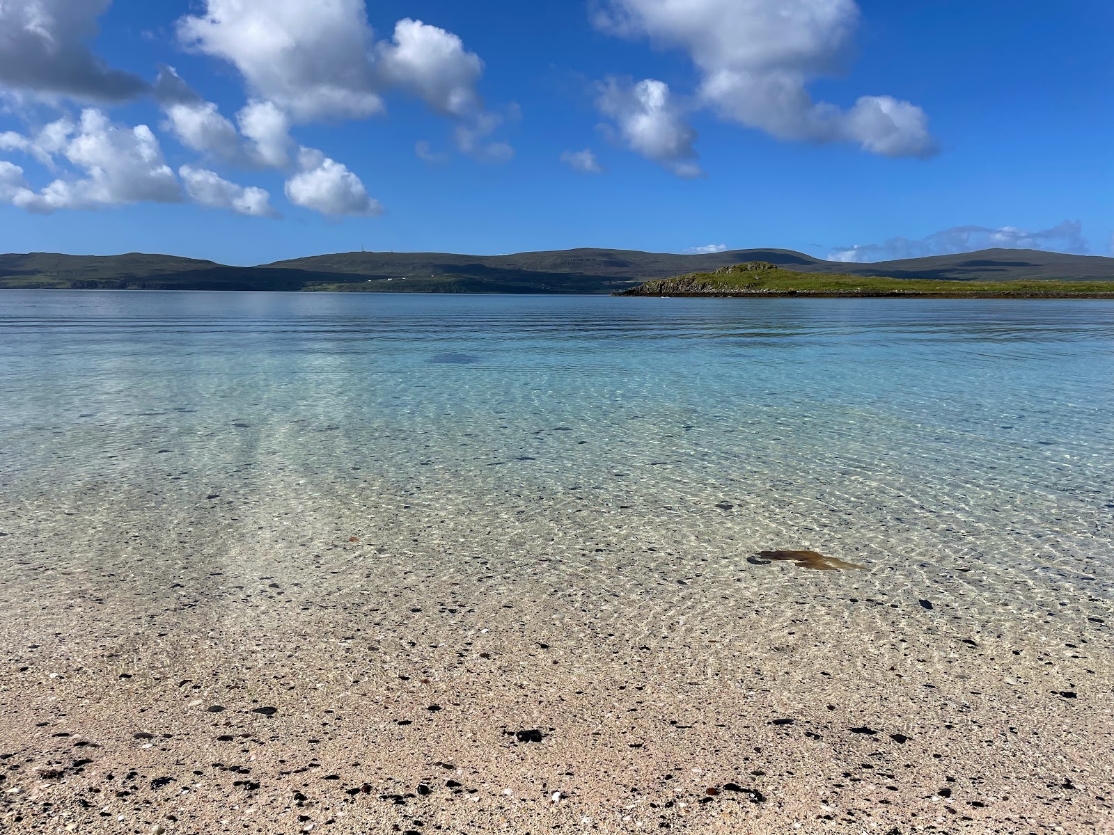 Coral Beach'in fotoğrafı vahşi alan