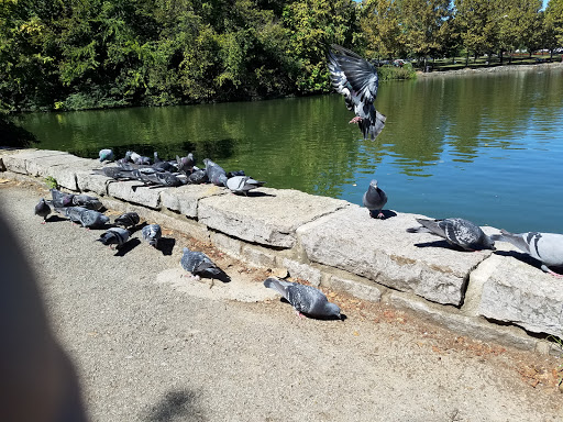 Art Museum «The Parthenon», reviews and photos, 2500 West End Ave, Nashville, TN 37203, USA