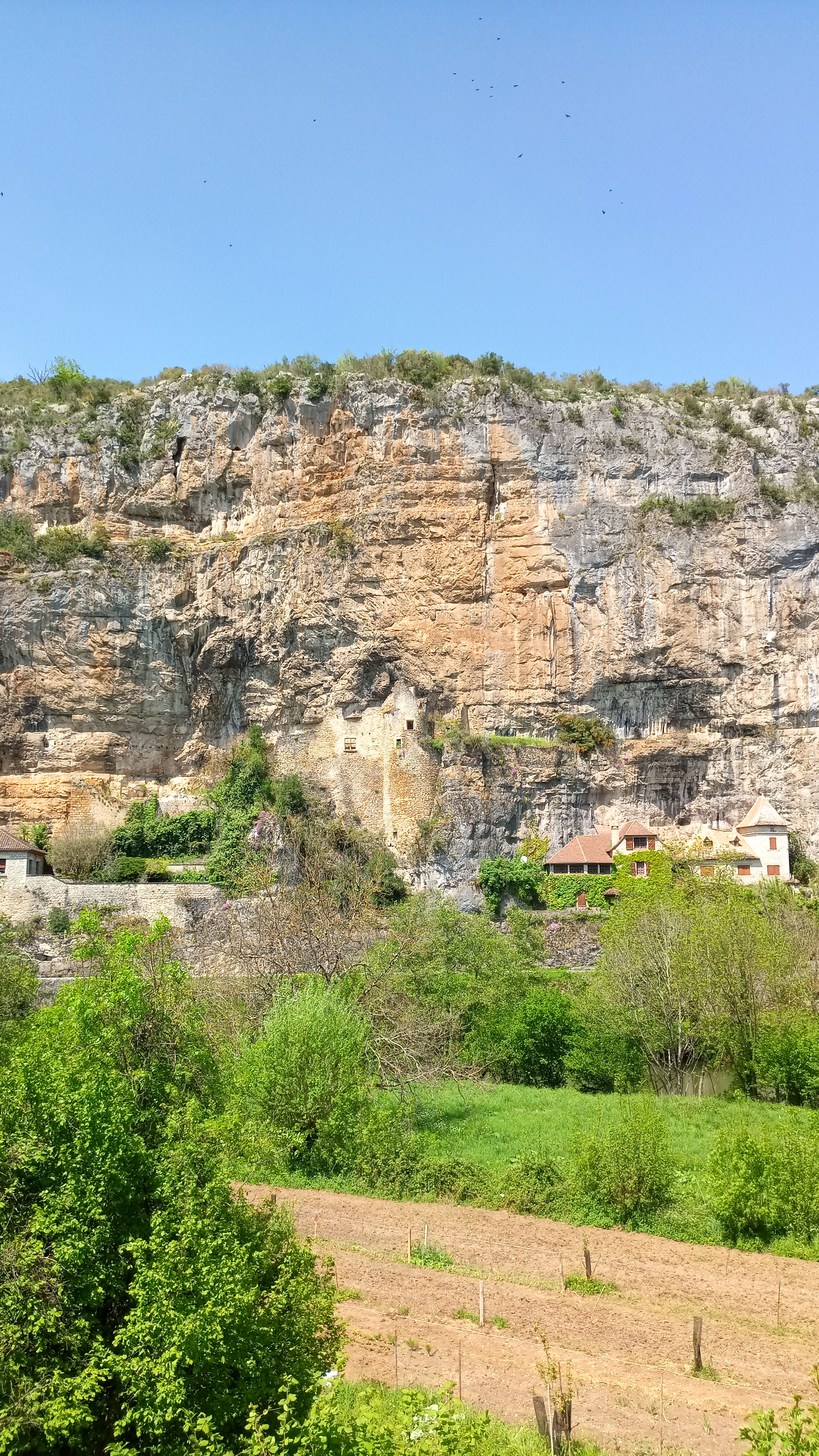 Photo n° 29 de l'avis de jean-françois.4 fait le 01/05/2022 à 15:48
