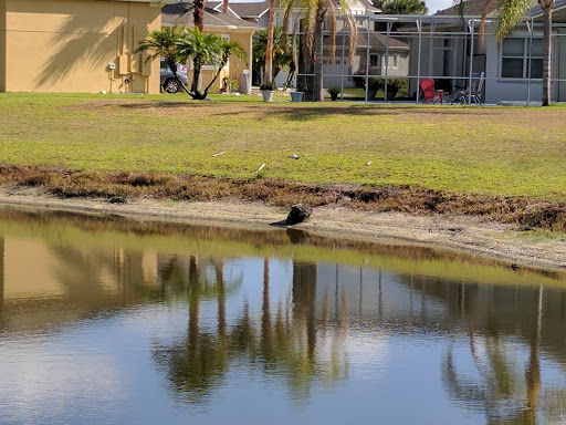 Golf Club «Oaks National Golf Club», reviews and photos, 1500 The Oaks Blvd, Kissimmee, FL 34746, USA