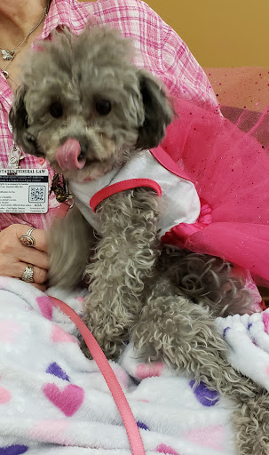 Shopping Mall «Valley Creek Mall», reviews and photos, 1750 Weir Dr, St Paul, MN 55125, USA