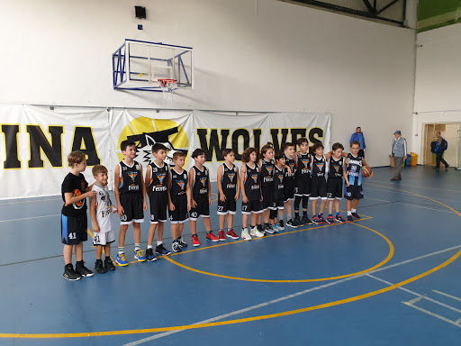 Club Sportiv Lumina Wolves
