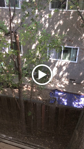 Fabric Store «Jo-Ann Fabrics and Crafts», reviews and photos, 75 Colma Blvd, Colma, CA 94014, USA