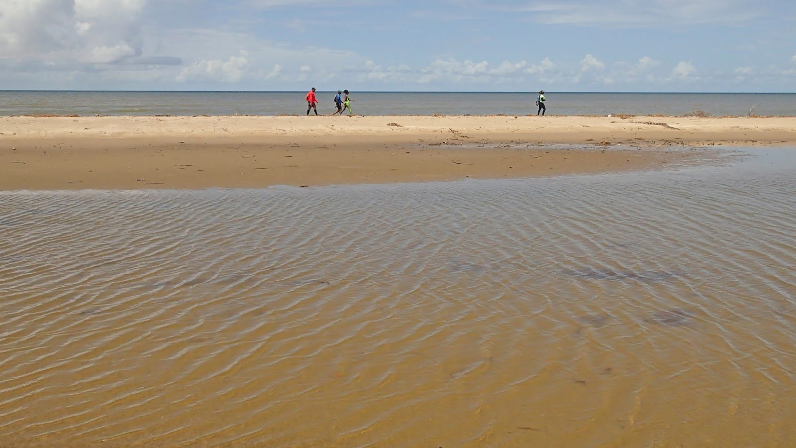 Foto av Chatham beach vildmarksområde
