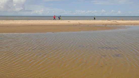 Chatham beach