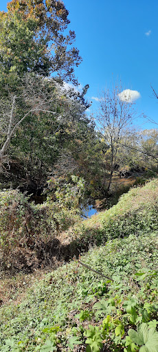 Roofing Contractor «Carolina Storm Roofing», reviews and photos, 11809 5 Cedars Rd, Charlotte, NC 28226, USA