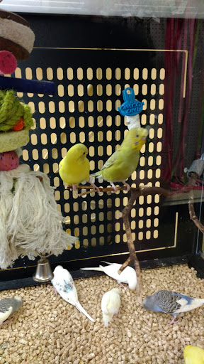 Pet Supply Store «PetSmart», reviews and photos, 4794 Jimmy Lee Smith Pkwy #108, Hiram, GA 30141, USA
