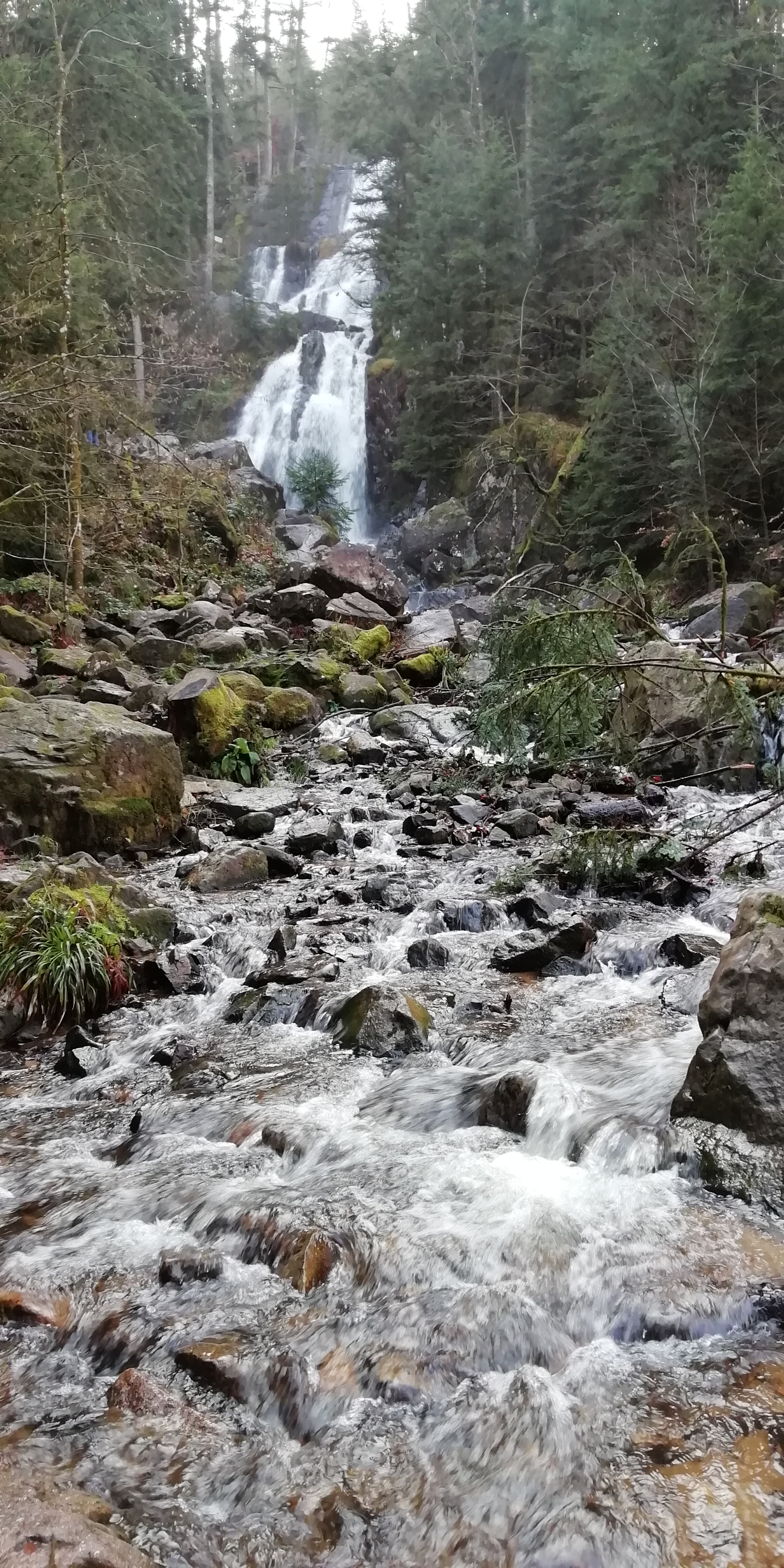 Photo n° 2 de l'avis de Olivier.e fait le 28/12/2019 à 22:18