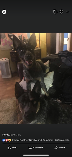 Tattoo Shop «Pair-O-Dice Tattoo», reviews and photos, 2921 S Harvard Ave, Tulsa, OK 74114, USA