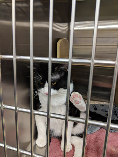 Pet Supply Store «PetSmart», reviews and photos, 4216 S Scatterfield Rd, Anderson, IN 46013, USA