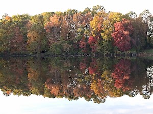 Lakeview Park - photo 99