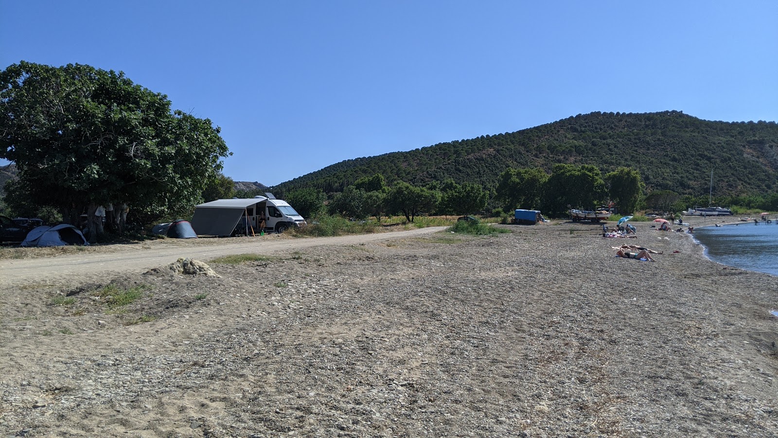Zdjęcie Despot beach dziki obszar